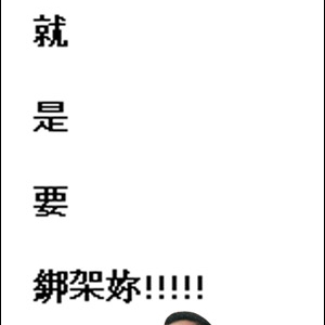 我被阿扁綁架了